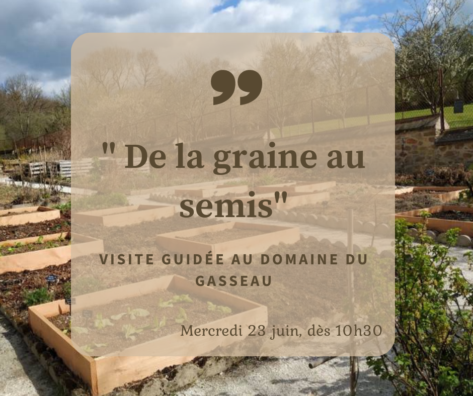 De la graine au semis